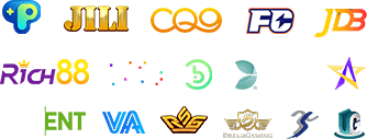 providers
